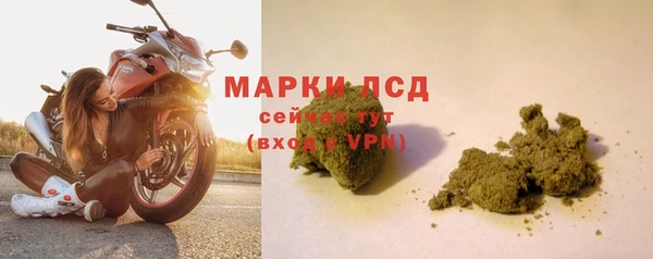 шишки Баксан