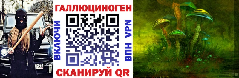 это Telegram Фокино Галлюциногенные грибы Psilocybine cubensis